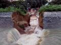 Bhagalpur canal after collapse. (Source: Press Trust of India)