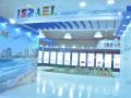 Israeli Pavilion at India Water Week 2016 (Source: Israel Embassy, New Delhi)