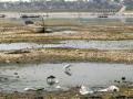 River Ganges at Sangam in Allahabad