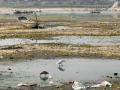 Polythene bags and solid waste left behind as water recedes in the Ganga river. (Source: India Water Portal on Flickr)