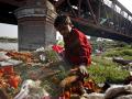 A child collects garbage at Yamuna ghat in Delhi