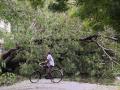 One of the many calamities of cyclone Vardah in Jawahar Nagar near Perambur. 