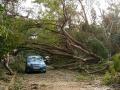 After a cyclonic storm (Image source: IWP Flickr photos)