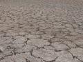 Centre issues drought advisory to six states (Source: IWP Flickr photos)