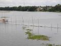 A water body in Assam (Source: IWP Flickr Photos)