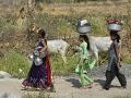 Women bringing water from distance sources in summers (Source: IWP Flickr photos))