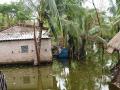 Devastation following Alia 2009