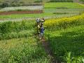 Rural women use creative ways to manage food and nutrition security in their households. (Source: IWP Flickr photos)