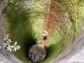 Water well in Purulia, West Bengal (Source: India Water Portal Flickr Photos)