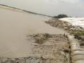 An embankment in Madhubani after a week of repairing (Source: Santosh Yadav via IWP Flickr albums)