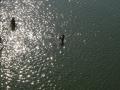 Ganga river at Kachla, Uttar Pradesh (Source: IWP Flickr Photos)