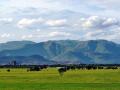 Western Ghats as seen from Gobichettipalayam. (Source: www.wikipedia.org)