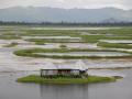 A home on Loktak lake in Moirang, Manipur (Image: Sharada Prasad CS, Wikipedia Commons)