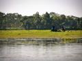 Maguri Beel (wetland) in Assam