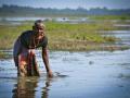 Maguri Beel, a wetland area in the Tinsukia district of Upper Assam.