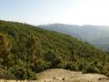 Ufrenkhal forest that gives water to Gad Ganga