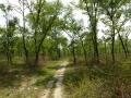 The scrubland that the Coca Cola company requires