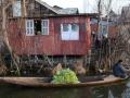 A boatman carries vegetables produced from floating gardens. (Source 101Reporters)