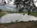 A lake rejuvenated by United Breweries in Palakkad, Kerala