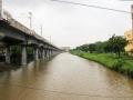 Buckingham canal in Chennai. (Source: IWP Flickr photos)