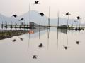 Deepor Beel in Assam (Source: IWP Flickr Photos)