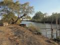 Dr. John's Khazan next to the Zuari river