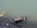 Body of a puppy floating in one of Punjab's public water supply tanks