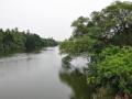 Cauvery river. (Source: India Water Portal)