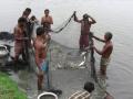 Fishermen rear fish in wastewater from the wetlands.