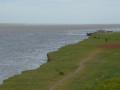 The lower Ganga, just upstream of Farakka, displays bank cutting and erosion. (Source: India Water Portal)