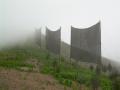 Fog harvesting structures.