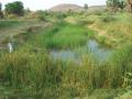 Gonchi irrigation system in Anantapur