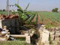 Crop irrigation with groundwater, powered by electricity in Gujarat. (Image: Tesh, Wikimedia Commons, CC-4.0A-ShareAlike-International)