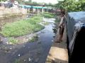 A filthy river in Maharashtra. (Source: IWP photos via Rohit Sharma and Arpita Bhagat)