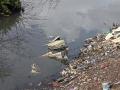 Solid waste on the banks of the Mithi river. (Image source: Rohit Sharma, Arpita Bhagat)