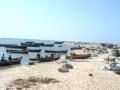 The fisherfolk of Dhanushkodi