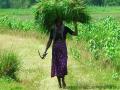 Women work under poor working conditions. (Source: Wkimedia Commons)