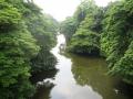 The river Karamana in Thiruvanathapuram, Kerala (Image Source: India Water Portal)