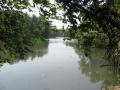 The Karamana river in Thiruvanathapuram, Kerala (Source: India Water Portal) 