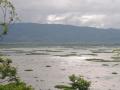 View of Loktak lake (Source: Wikimedia Commons)