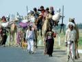 The maldharis from kutch on their own road trip (Image: Malay Maniar, Flickr Commons, CC BY-NC-ND 2.0)