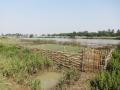 Mangrove Nursery at Naupal ( Source: Regional Centre For Development Cooperation)