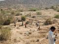 Labourers building check dams under MGNREGA. (Image Source: IWP Flickr Photos)