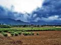 Monsoon clouds at Nagercoil, Tamil Nadu (Source: Wikimedia Commons)