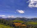 A view of the Nilgiris (Image credits: Golkul Halan)