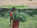 Phaguni is one of the victims of the crisis in farming.