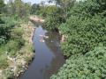 The Paondhoi with hazardous materials and pollutants dumped into it. (Image: India Water Portal)