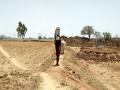 Child walks through the parched field for kilometers to fetch water in peak summer in village Banjari (Image: Reshma Sahoo)