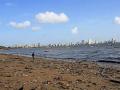 Mumbai coast (Source: Wikimedia Commons)