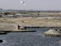 The parched Yamuna (Photo courtesy: The Indian Express)